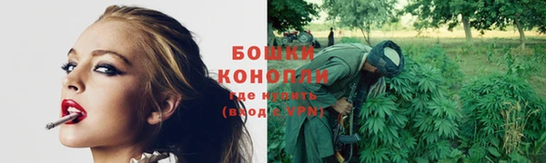 индика Надым