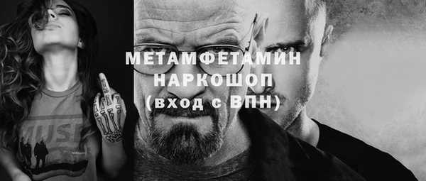 индика Надым