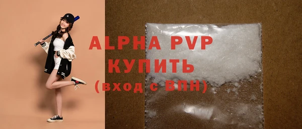 индика Надым