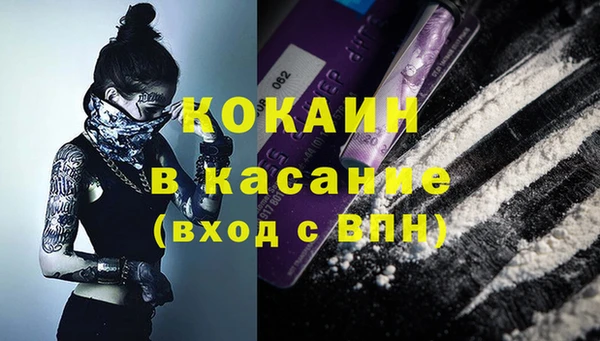 индика Надым