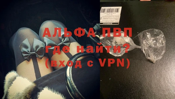 индика Надым