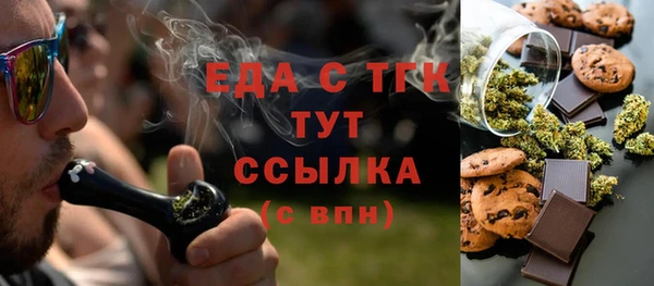 индика Надым