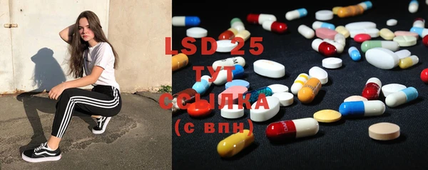 индика Надым