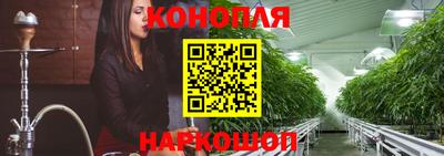 молекула духа Гай