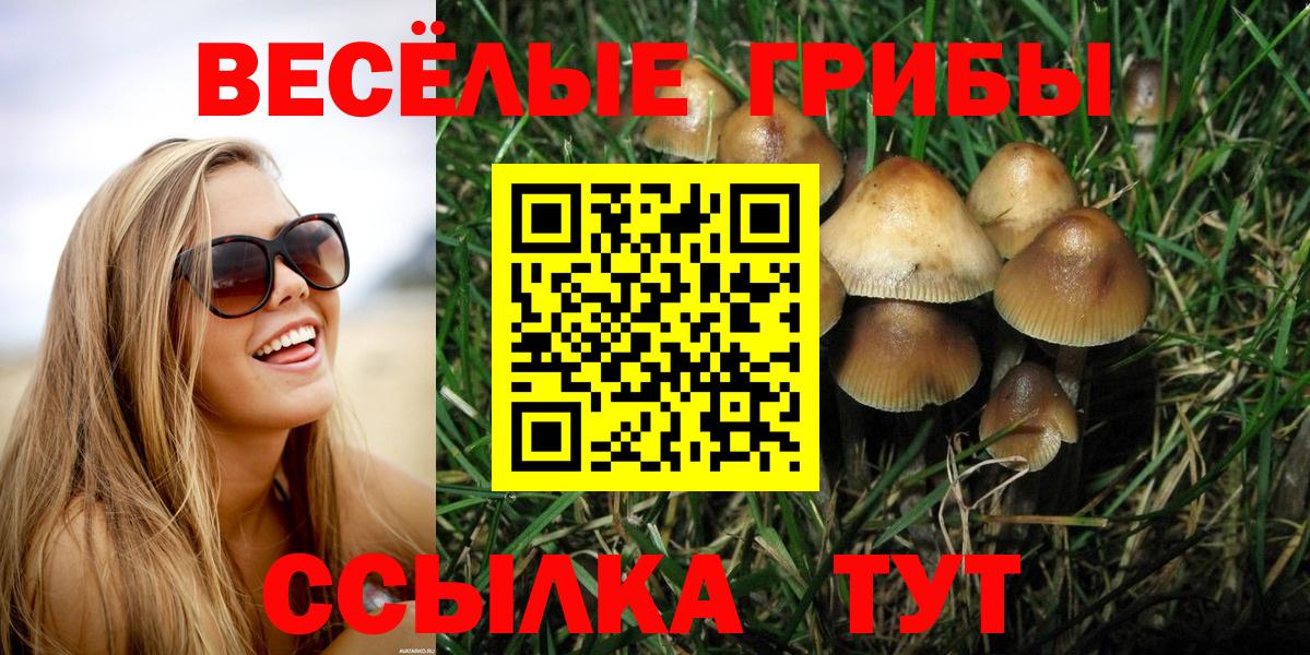 Урюпинск  Галлюциногенные грибы Cubensis  Вход с VPN  Галлюциногенные грибы Psilocybe 