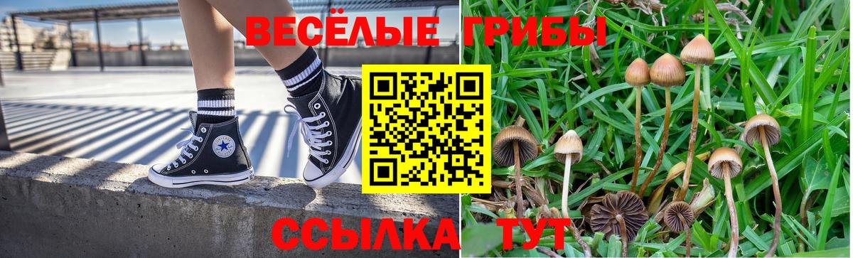 Псилоцибиновые грибы мицелий Урюпинск